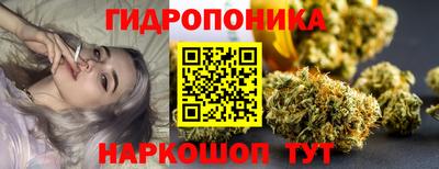 PSILOCYBIN Кинель