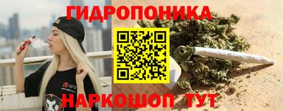 PSILOCYBIN Кинель