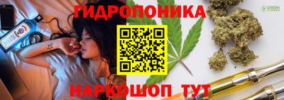 ГАЛЛЮЦИНОГЕННЫЕ ГРИБЫ Кимры